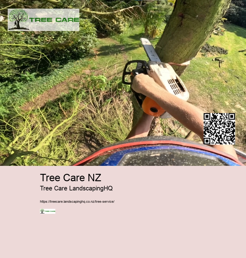 Tree Trimming Whangarei