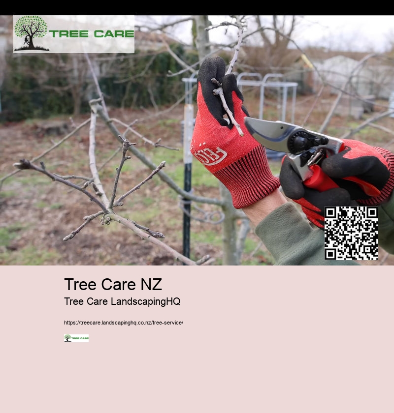 Tree Trimming East Auckland