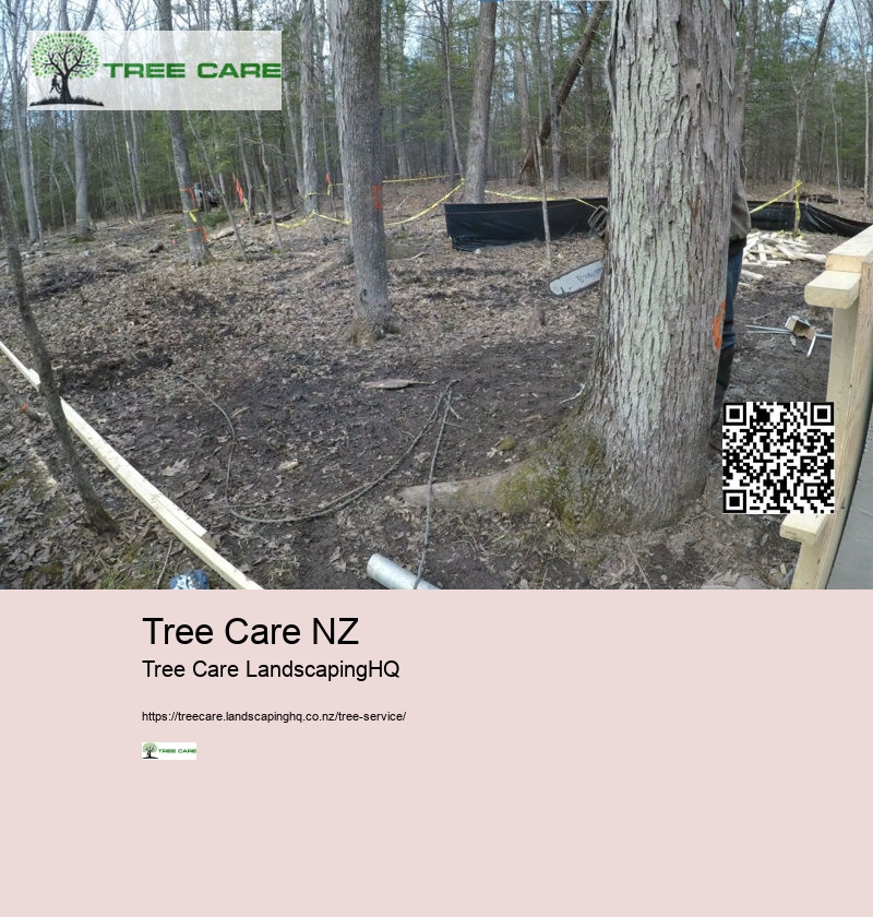 Tree Care NZ