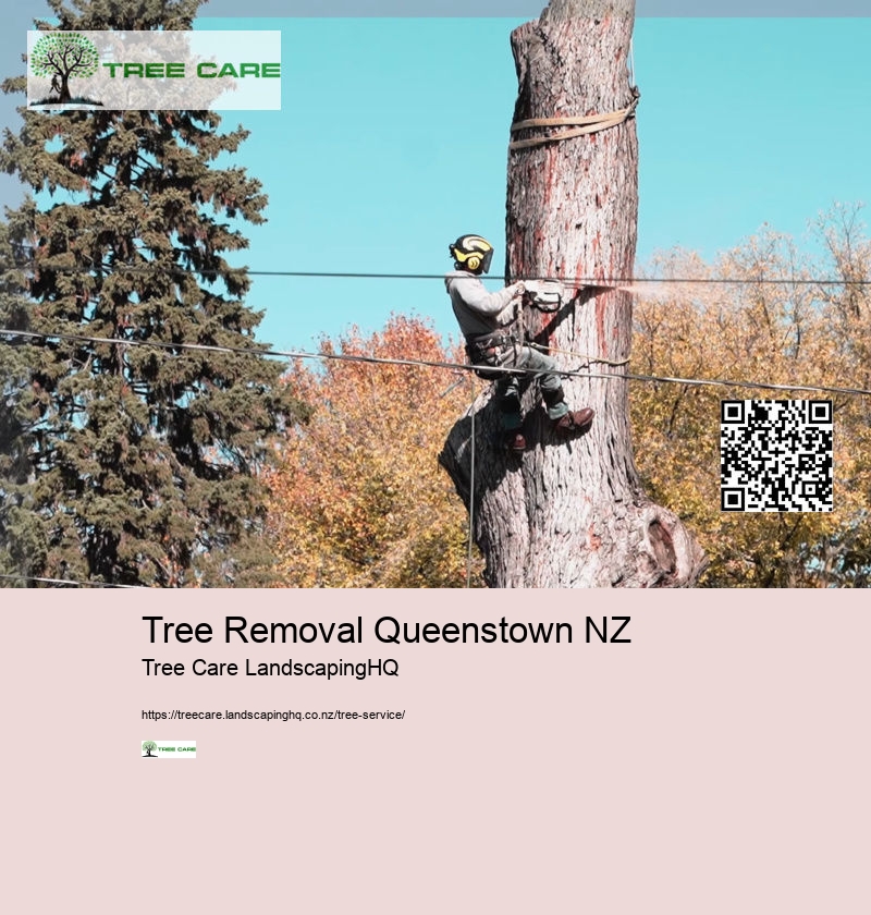 Arborist North Shore