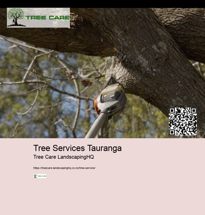 Tree Arborist Auckland