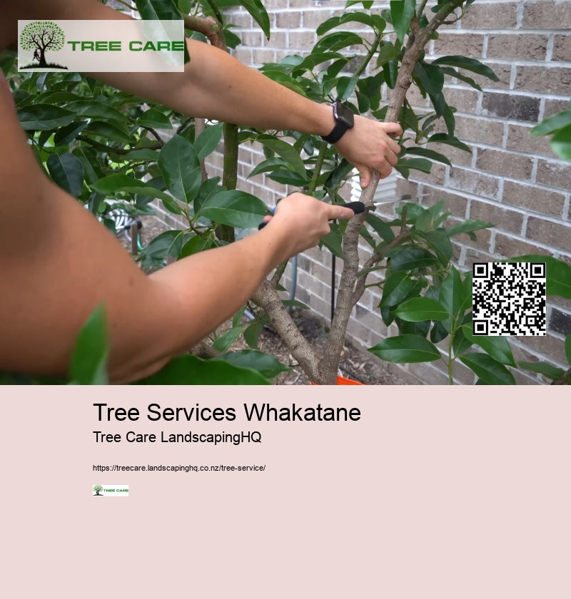 Arborist Chch NZ