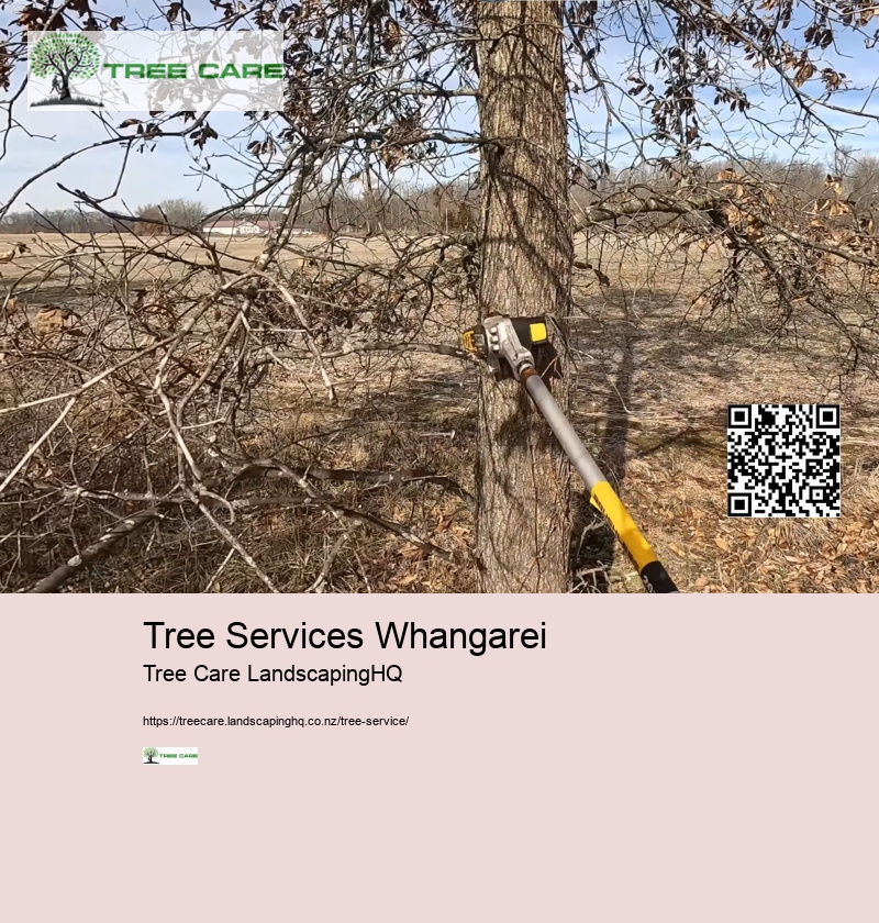 Arborist Whakatane