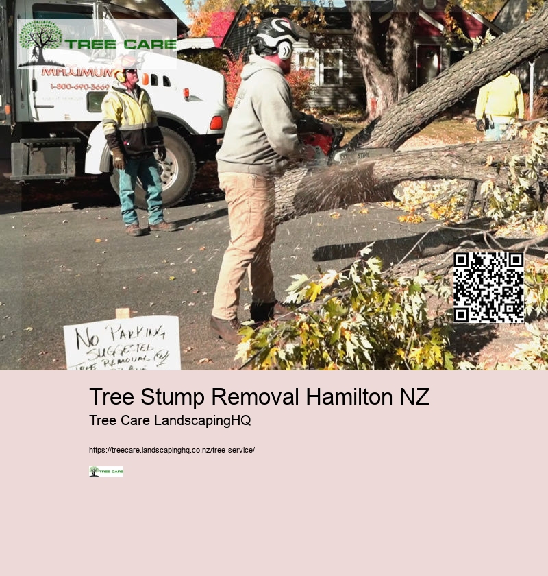 Tree Stump Removal Hamilton NZ