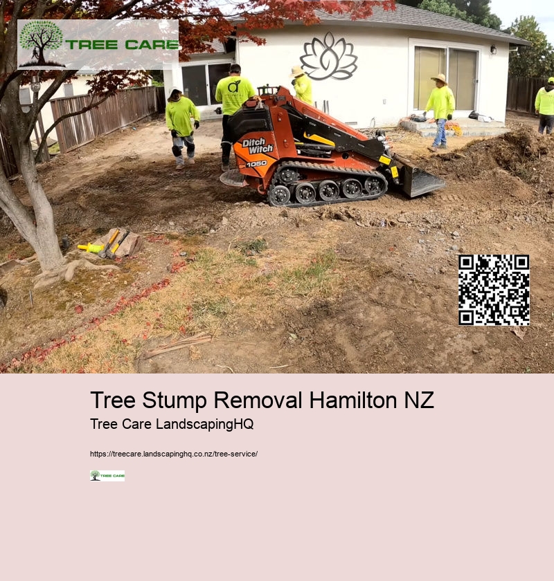 Stump Grinding Nelson NZ