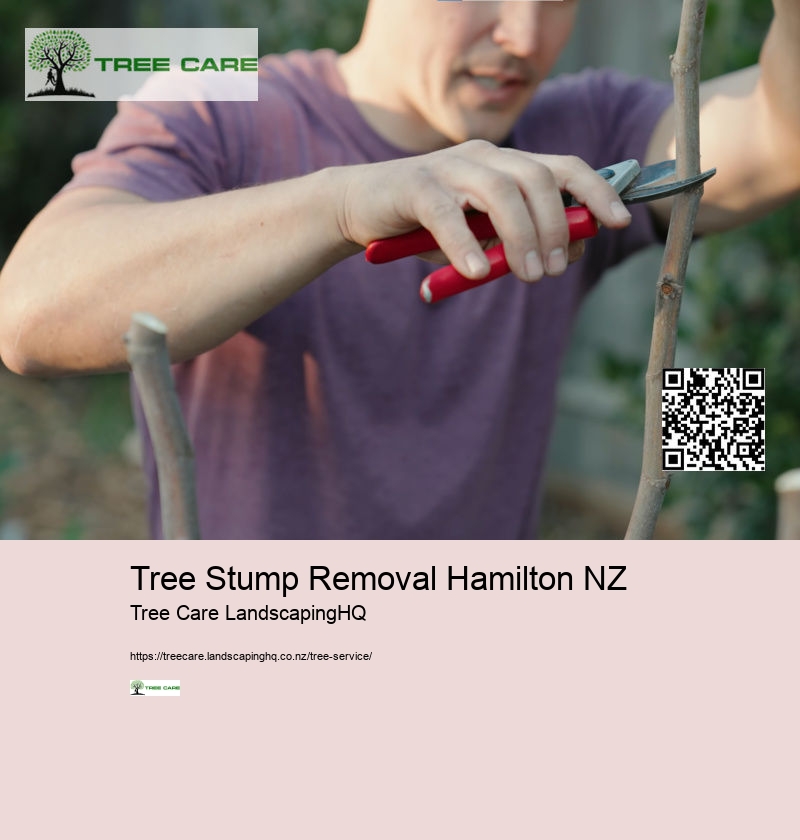 Arborists Auckland NZ