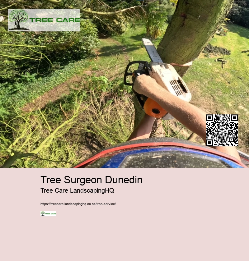 Arborist Company New Zealand