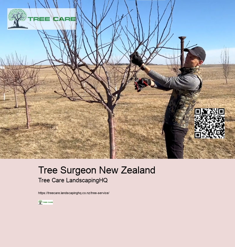 Tree Surgeon New Zealand