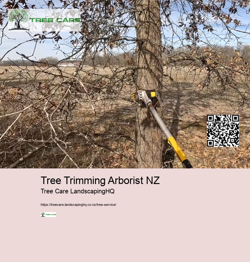 Tree Trimming Arborist NZ