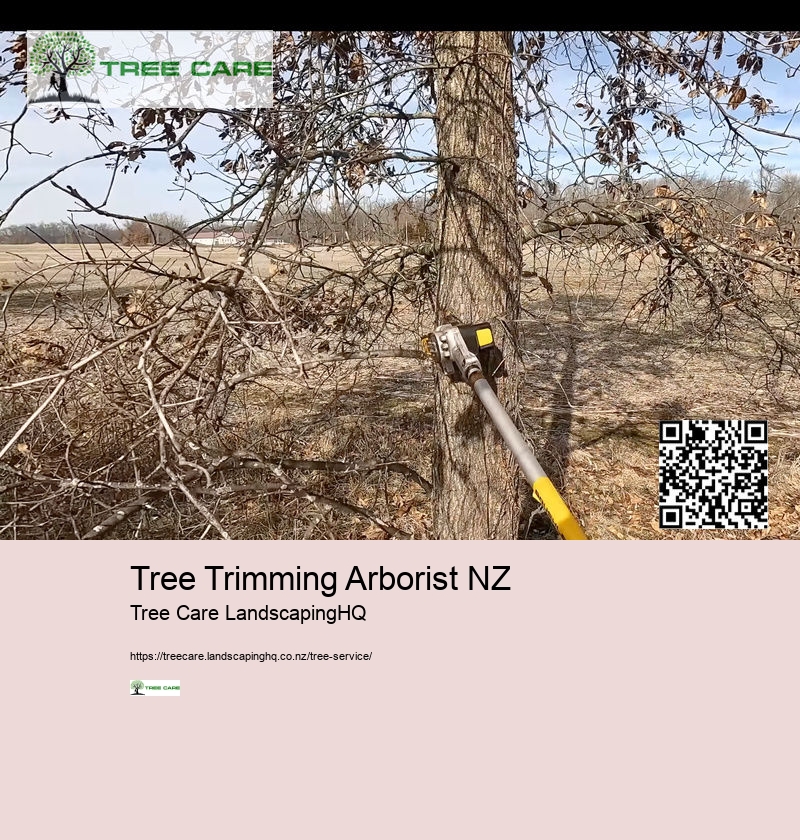 Tree Trimming And Shaping NZ