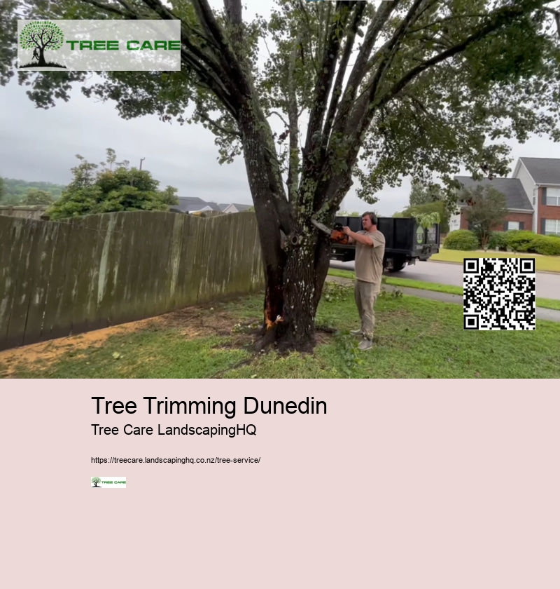 Tree Pruning Christchurch NZ