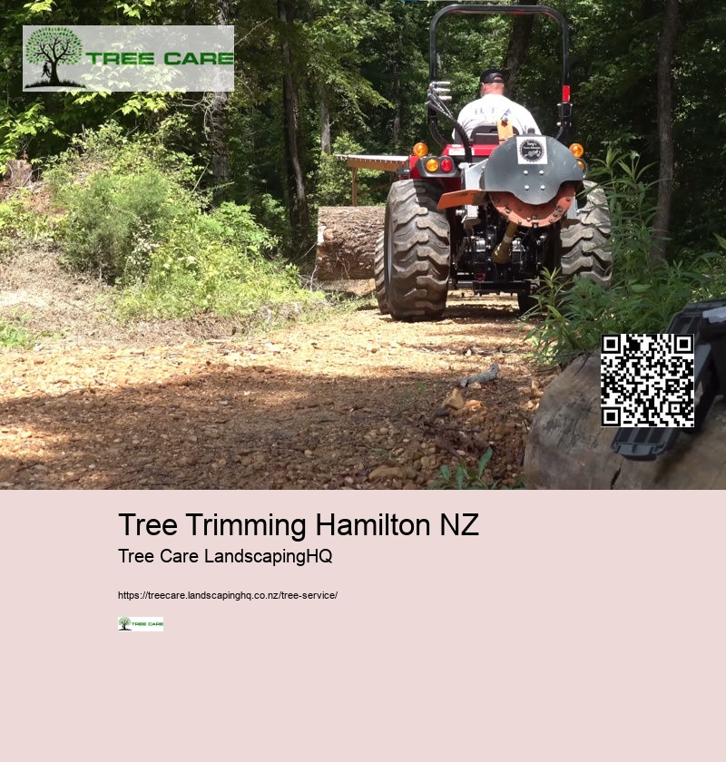 Tree Care NZ