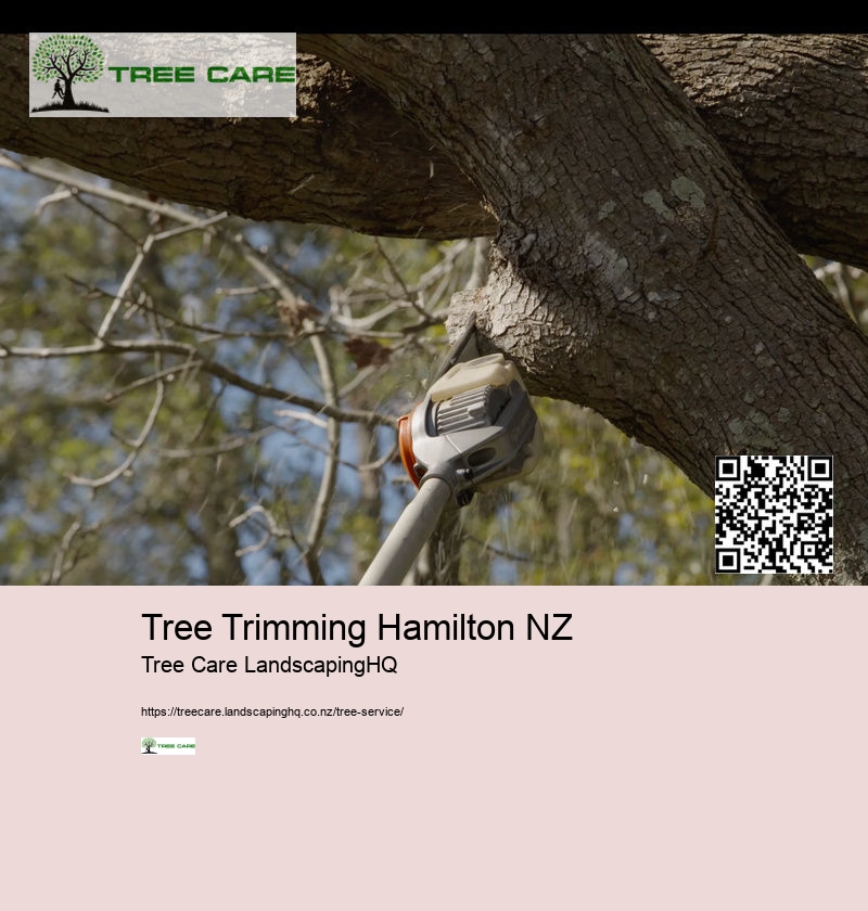 Tree Trimming Palmerston North