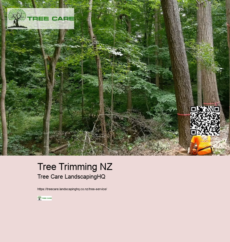 Arborist Wellington NZ