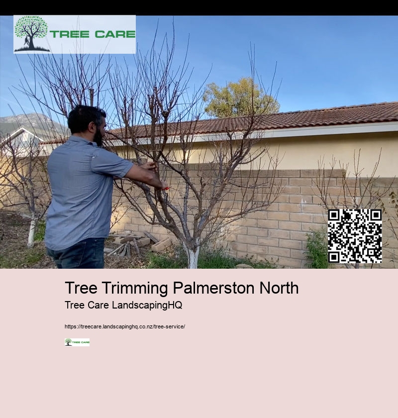 Tree Trimmers Auckland