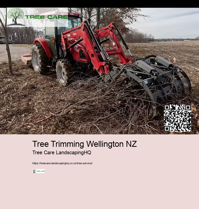 Arborist East Auckland