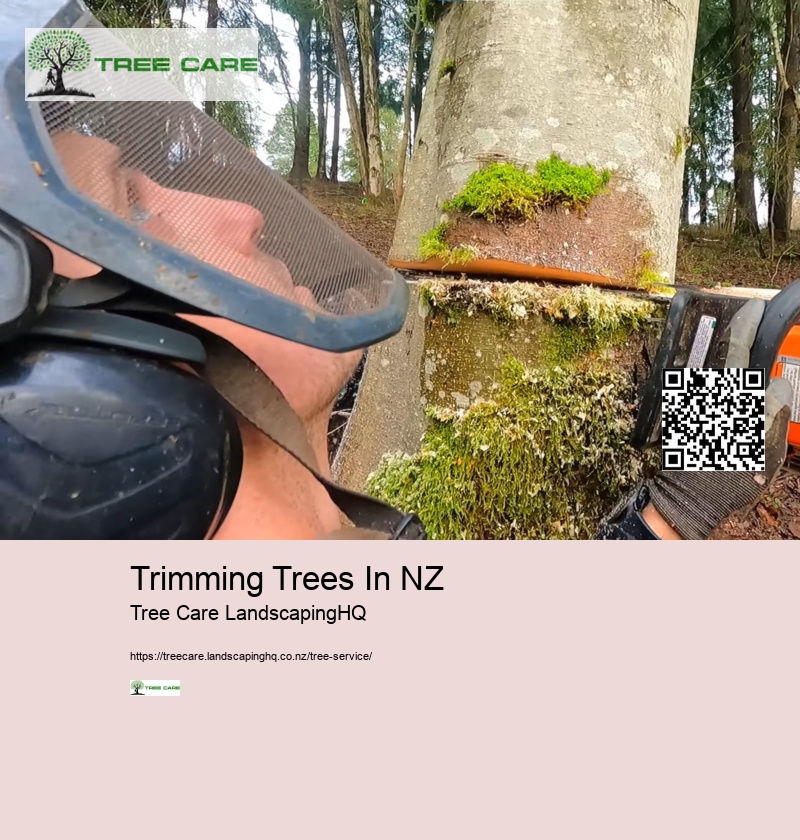 Trimming Trees In NZ