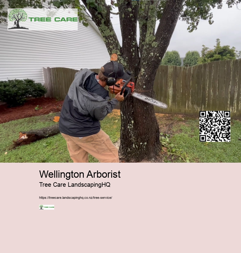 Arborist Dunedin NZ